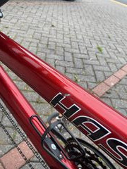 HASE Pino Allround click to zoom image